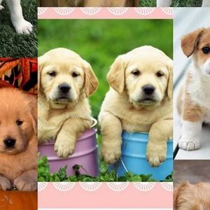 Meet your Posher, Sherlyn